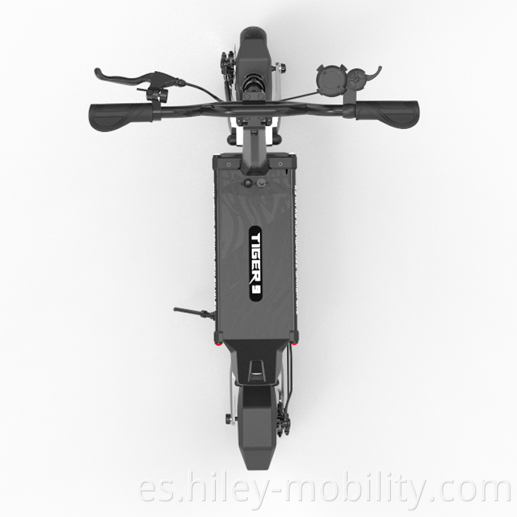 Lithium Electric Scooter